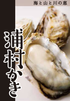 浦村牡蠣